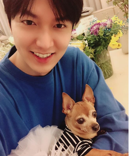 イミンホの愛犬はチョコ 犬種と飼い犬とのかっこよすぎる姿も公開 韓国ドラマ K Pop情報