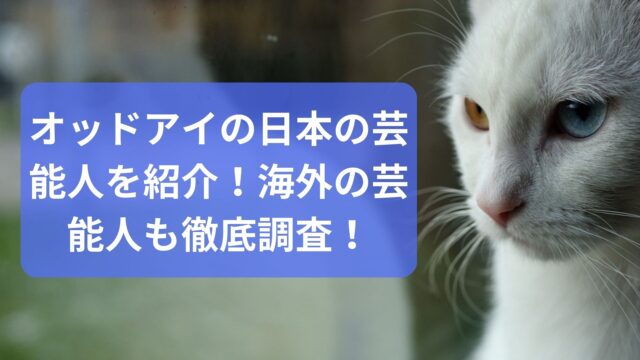 オッドアイの日本の芸能人4選！海外の芸能人の10選も徹底調査！ | K-Journal