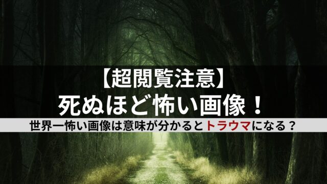 世界一怖い画像