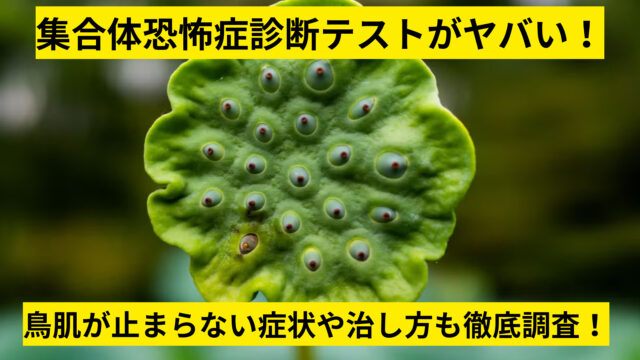 集合体恐怖症診断テスト